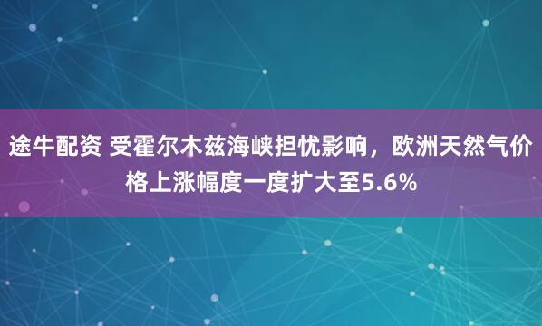 途牛配资 受霍尔木兹海峡担忧影响，欧洲天然气价格上涨幅度一度扩大至5.6%
